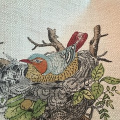 Garden Life Collection Birds By Textiles Vilber Fabric Screen Print 57×27 Spain