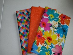 Lot Quilt Cotton Fabric Name Brand Free Ship 3 yd total as shown Bundle last one