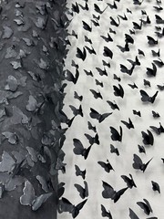 Black 3D Butterfly Lace, 60/62″, Dress, Decor, Prom, Hair Accessories