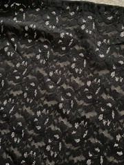 Fabric Black Lace with Silver Metallic Thread 53W x 1.8 Yards (*44)