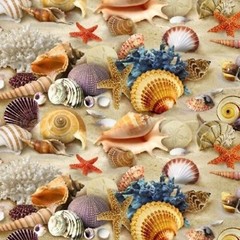 Fabric Beach Sand Sea Shells Real on Cotton ELIZABETH 1/4 yard 278E-SAND