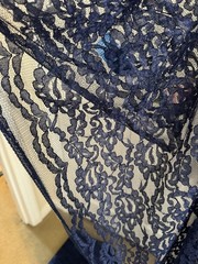 Gorgeous Blue Nylon Lace-6 Yards