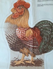 VIP Cranston Rooster Cut and Sew Fabric Panel Pillow Lot of 2 + Barnyard Critter