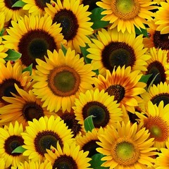 Fabric Flowers Sunflowers Full ELIZABETH STUDIOS Cotton 1/4 Yard 487-YLW