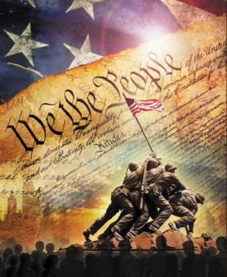 USA Constitution We the People Cotton Panel Fabric (Single Panel)