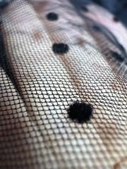 Black Flocked Polka Dot Tulle Fabric Sheer Mesh Lace Dress Craft 61”x50”