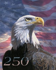 Brave Like An Eagle Fabric Panel 36x 44 America 250 Years