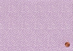 Purple JELLY ROLL: 20) 2 1/2″ x 44″ Strips, 100% Quilting Cotton Fabric