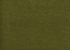 Sunbrella Fabric Pashmina Moss Assure Solution Dyed Acrylic Drapery Upholstery