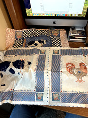 Vtg Cut and Sew Fabric Panel Set of 3 Cows and Chickens Throw Pillow Size