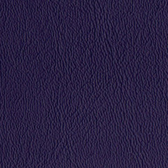 Palm Island True Purple (Auto/Marine/Contract) 10 Yard Cut *Free Shipping*