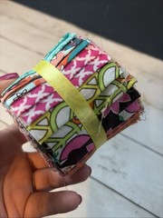 Fabric Palette Jelly Multicolor 100% Cotton 2.5″ x 42″ Bg 10