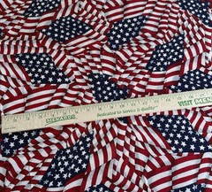 Cranston American Flag Patriotic Antique Look Quilting Cotton Fabric USA BTHY