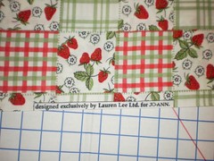 Strawberries Flowers Checkered Blocks Lauren Lee Jo-Ann Fabrics 1.44 yards