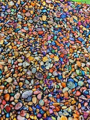 Fabric Pebbles Rainbow Colors Small Rocks KAUFMAN Cotton 1/4 Yard 19576-205multi
