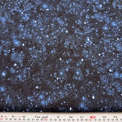 Cranston Starry Night Sky Cotton Fabric by the HALF YARD