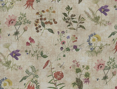 SOFAS & STUFF CURTAIN/UPHOLSTERY FABRIC DESIGN Wildflowers 2.4 MTRS RHS COLL