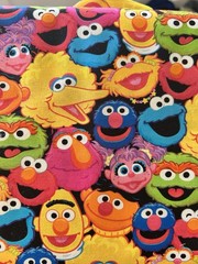 Sesame Street Colorful Cotton Fabric with Characters 1/2 Yard