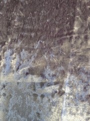 Fabric SAMPLE #269 Great for Crafts / Crazy Quilting