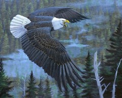 David Textiles National Treasures Bald Eagle Panel 36×45″