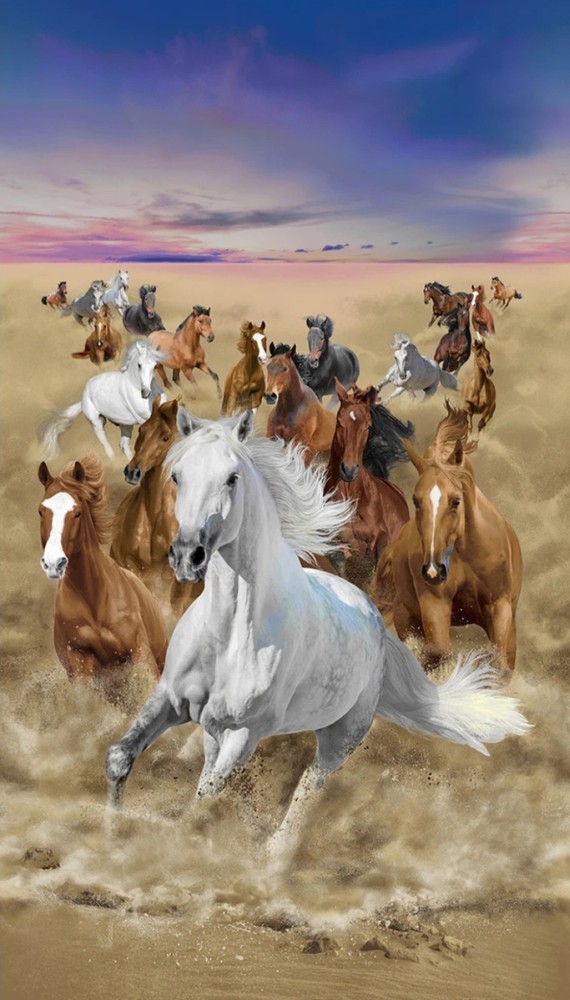 Timeless Treasures Wild Horses Cotton Quilt Fabric Panel 23 x 44