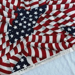 Cranston American Flag Patriotic Antique Look Quilting Cotton Fabric USA BTHY