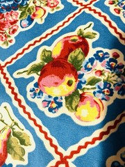 1.25 Yds R.&R. Fruit Retro Kitchen Towel Fabric by Springs Creative Prod-NEW OOP