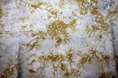 WINTER GLISTEN IN GOLD AND WHITE FROM RJR FABRICS – 100% COTTON FABRIC