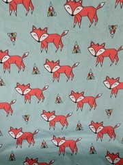 Fabric Minky Tokala Fox Aqua T60x33 Little Fox Winter Foxy Cotton Fabric