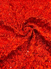 Red Pleated Stretch Satin Ruffle lace Trim with Hologram Sequin fabric 24″