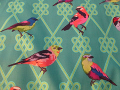 Tula Pink Cotton Fabric 1 Fat Quarter Moon Garden In a Finch 18″ x 21