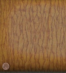 Running Wild gold cracked earth Riverwoods fabric