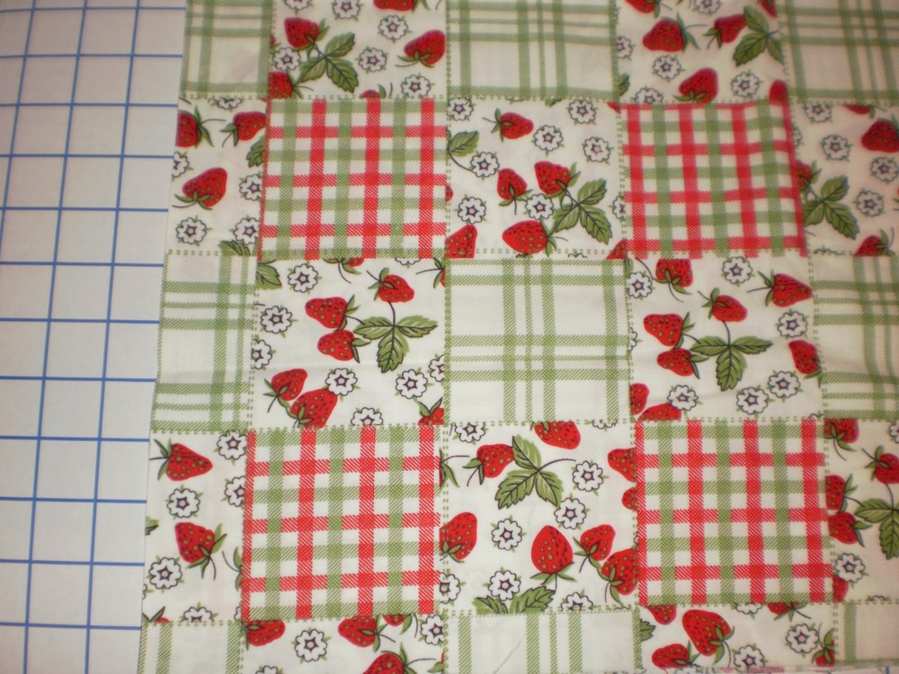 Strawberries Flowers Checkered Blocks Lauren Lee Jo-Ann Fabrics 1.44 yards