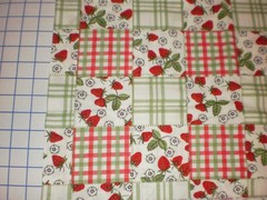 Strawberries Flowers Checkered Blocks Lauren Lee Jo-Ann Fabrics 1.44 yards