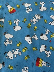 Snoopy Woodstock Peanuts Comics Characters Dogbowl Fabric Print: 19 1/2” x 43”