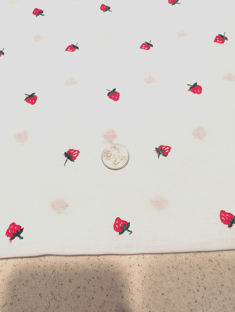 Adorable vintage machine embroidered small strawberries on sheer white cotton