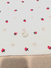 Adorable vintage machine embroidered small strawberries on sheer white cotton