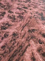 Keepsake CALICO Rose Mauve Pink BTY 100% Cotton Quilt fabric 36″x 44″ Blender