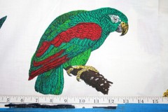 LARGE, INDIVIDUAL PARROTS, PERRFECT FOR APPLIQUE – 100% COTTON FABRIC