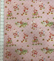 Strawberry Shortcake on Pink Fabric – BTFQ: 18″ x 21”