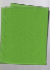 1 yard glissinet 60″ wide 90% nylon 10% spandex green