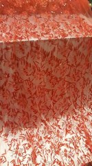 3d Sequin Lace Red Embroidered floral flowers on Mesh fabric sold by the yard