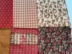 Moda “Collections for a Cause Alliance” 10 Half Yd Cuts Fabric 5 Yds 10 Prints