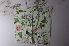 Titley and Marr, Paradiso, Floral with Birds and Butterflies, 26.50″ W X 28″ L