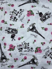 Timeless Treasures Paris Fabric by Jessie Steele Cotton 44″ BTY