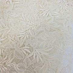 25 Assorted Lace Fabric Samples Lot Floral Guipure Embroidery Craft Sewing