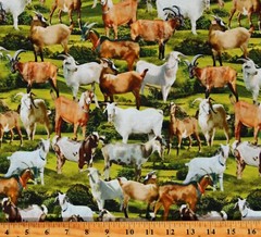 Cotton Goats Farm Animals Pastures Cotton Fabric Print by the Yard (D364.60)