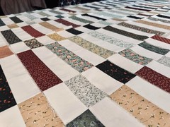 Inspirational Waterlily Pond Jelly Roll – 20 Floral Patterns for Crafting