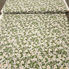Song Bird Serenade BTY James Meger Quilting Treasures Floral Leaves