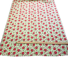 VTG Strawberry Shortcake Those Characters From Cleveland 2003 Flannel Green BTY